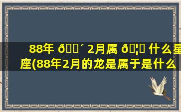 88年 🌴 2月属 🦈 什么星座(88年2月的龙是属于是什么命)